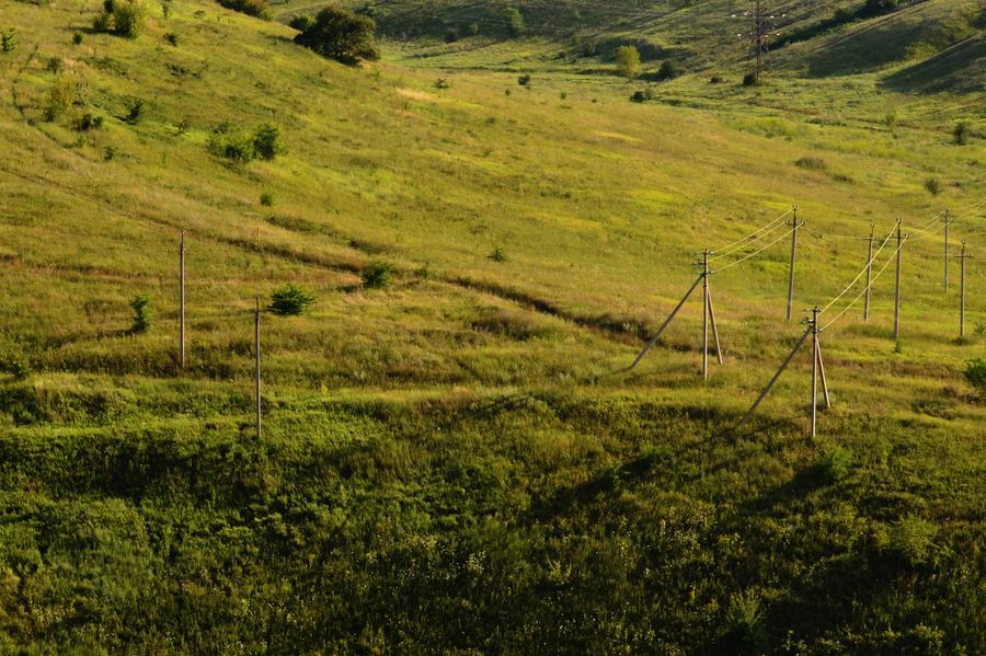 Electricity lines crossing a green meadow in low sunlight