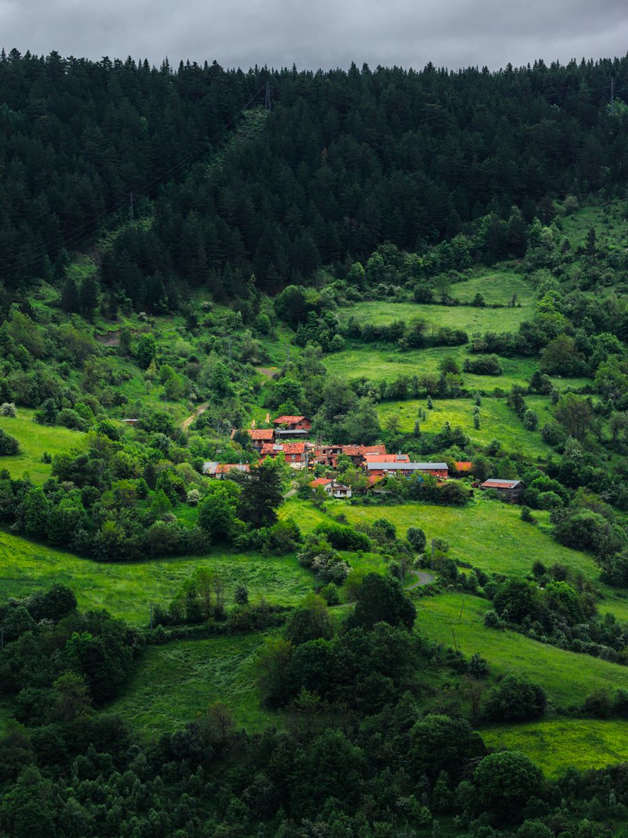 Aerial view of a village set into a lush green hillside