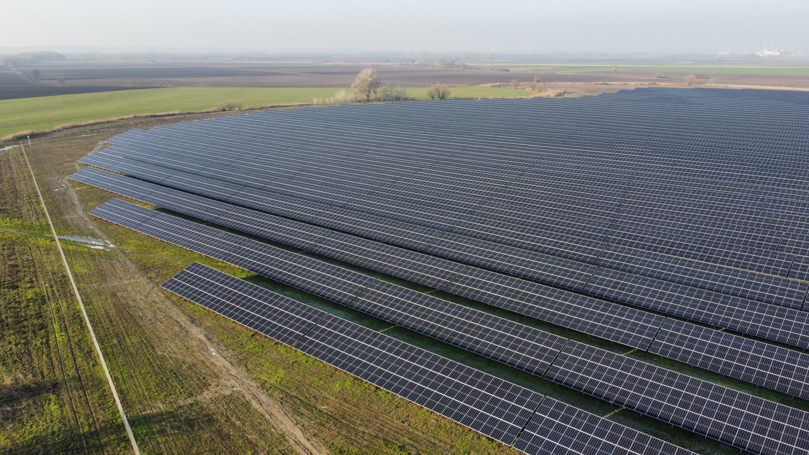 Rows of solar panels stretching across green farmland, seen from the air